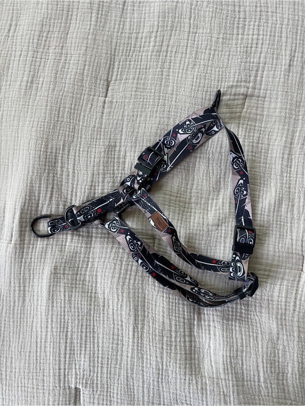 LokiWolf 🐶 Raven’s Feather Dog Harness